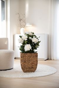 Kunstpflanze Pfingstrose Paeonia im cremefarbenen Dekotopf PEONY creme