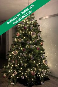 Künstlicher Premium Weihnachtsbaum Nordmanntanne LED, 240 cm hoch