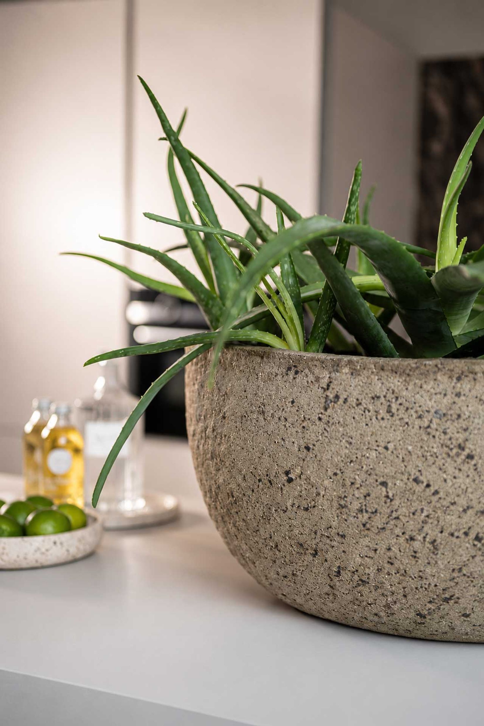 Pflanzschale Blumentopf Fiberzement BAJEL Erdgrau Pflanzschale Blumentopf Fiberzement BAJEL Erdgrau