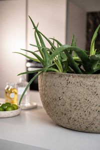 Pflanzschale Blumentopf Fiberzement BAJEL Erdgrau Pflanzschale Blumentopf Fiberzement BAJEL Erdgrau