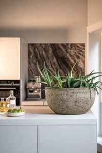 Pflanzschale Blumentopf Fiberzement BAJEL Erdgrau Pflanzschale Blumentopf Fiberzement BAJEL Erdgrau