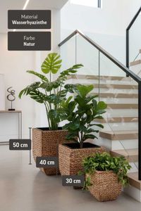 Pflanzkübel Blumenkübel Wasserhyazinthe "Asia", Natur