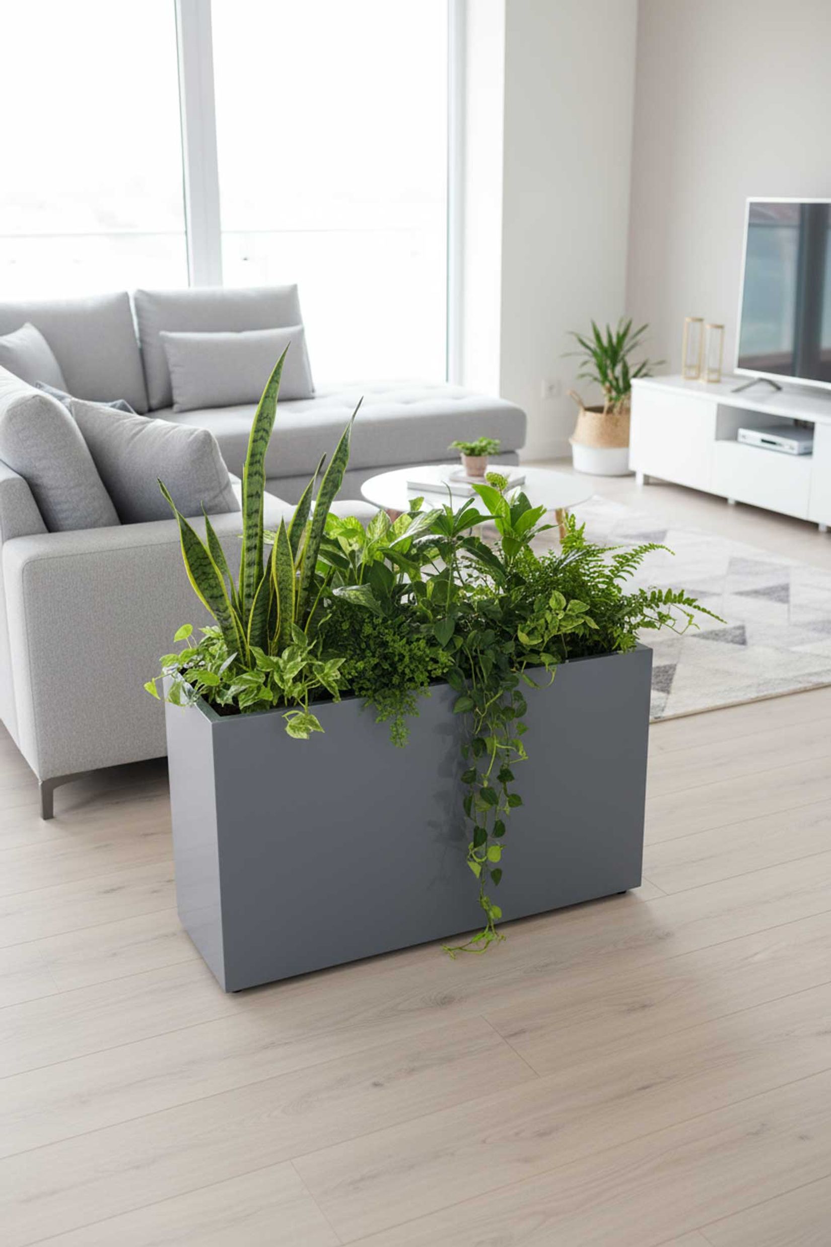 Raumteiler mit Rollen pulverbeschichteter Edelstahl "Elemento" niedrig, Silbergrau