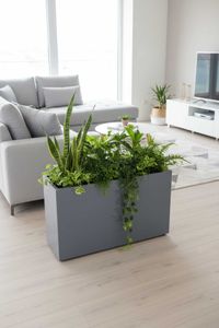 Raumteiler mit Rollen pulverbeschichteter Edelstahl "Elemento" niedrig, Silbergrau