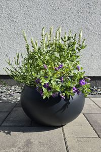 Blumentopf Fiberglas MORINO Anthrazit