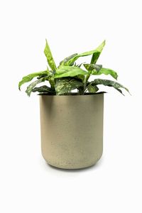 Blumentopf Pflanztopf Fiberglas CHICO Vesuvcreme