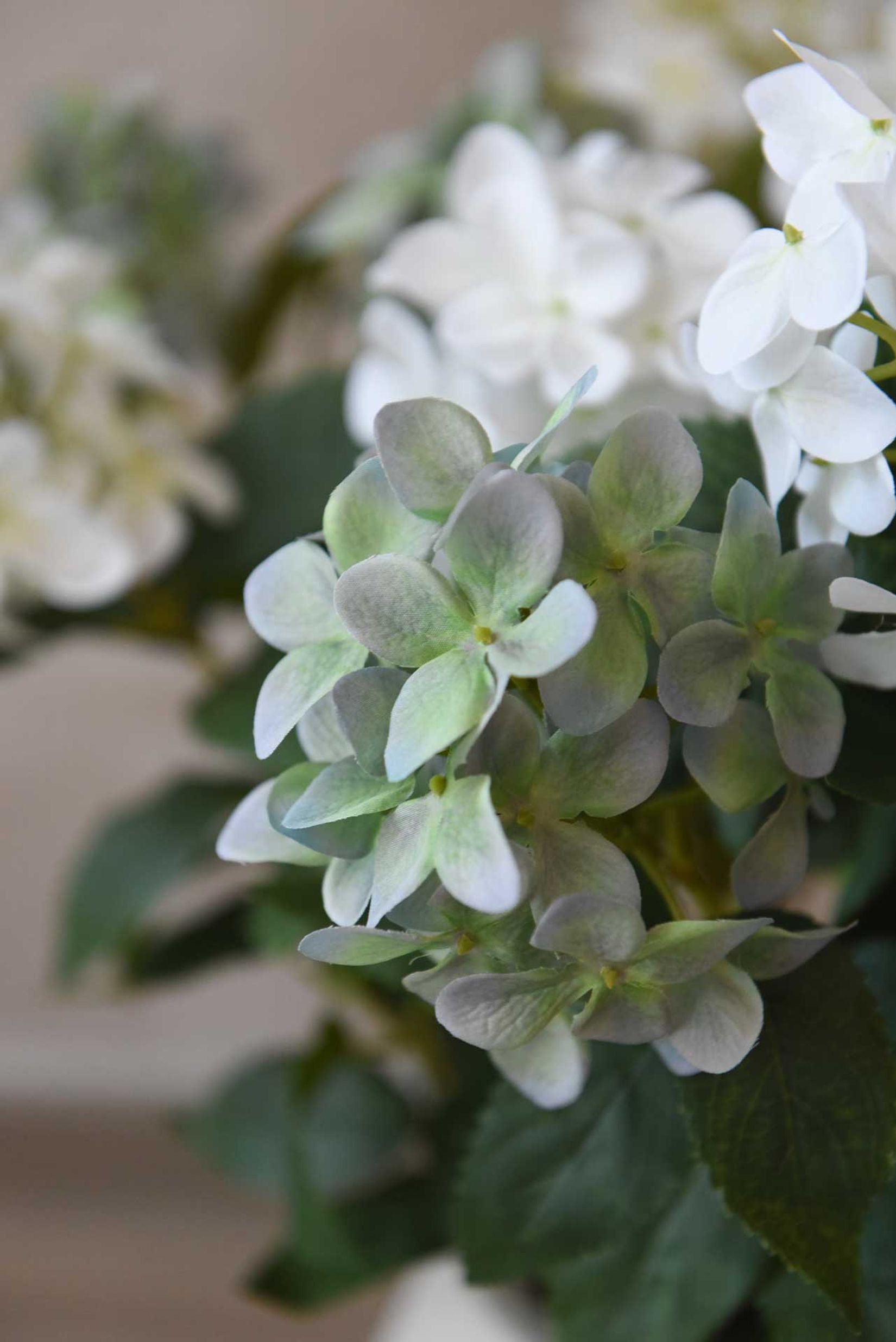 Kunstpflanze Hortensie im Topf Kunststoff HYDRANGA creme Kunstpflanze Hortensie im Topf Kunststoff HYDRANGA creme