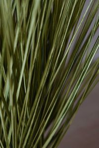 Kunstpflanze Kunststoff Zebragras JUNCO