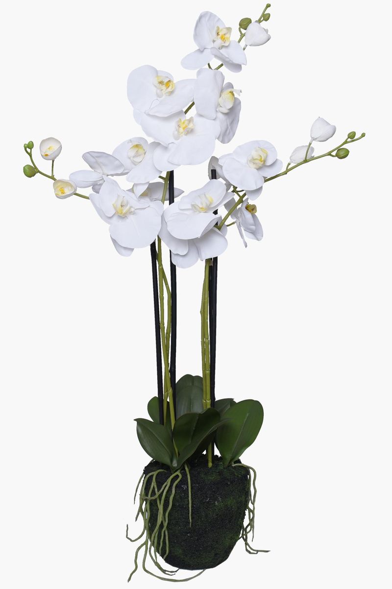 Kunstpflanze künstliche Orchidee im Erdballen Kunststoff ORCHIDELIS | 50x87 cm | 6049215575