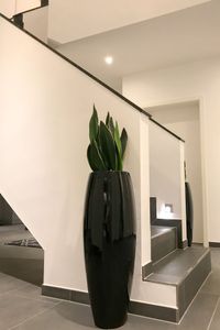 Exklusiver Pflanzkübel Fiberglas "Magnum" Schwarz Hochglanz