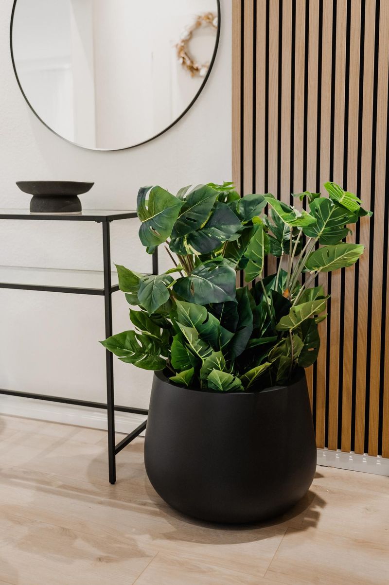 Kunstpflanze künstliche Monstera im Topf Kunststoff MONSTERA | 5730915582