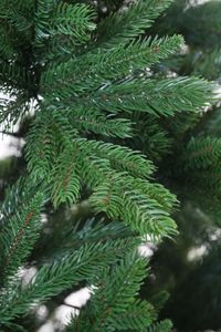 Künstlicher Weihnachtsbaum Premium Nordmanntanne, 300 cm hoch