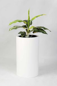 Pflanztopf Pflanzkübel Fiberglas ESTRA weiß matt