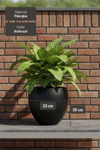 Blumentopf Fiberglas PLUTO Anthrazit Blumentopf Fiberglas PLUTO Anthrazit