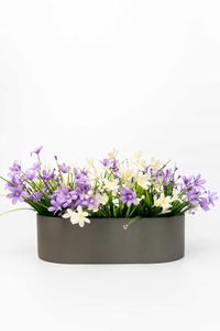 Pflanzschale Dekoschale SOLENA Fiberglas Betongrau