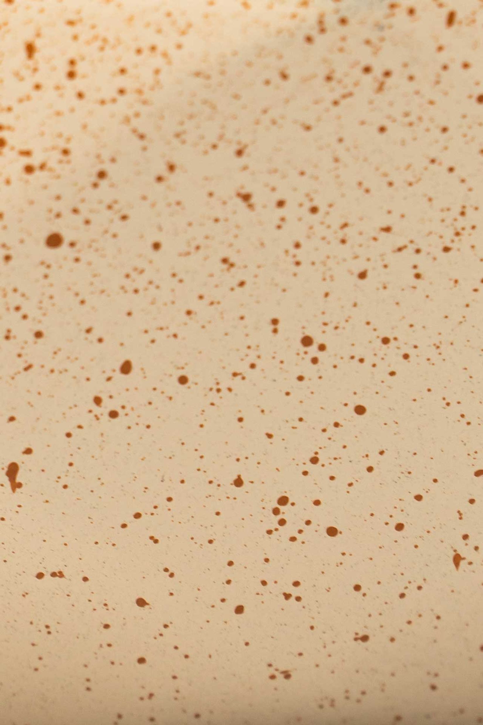 Pflanzschale Dekoschale Fiberglas CAVERO Arbanepoly Pflanzschale Dekoschale Fiberglas CAVERO Arbanepoly