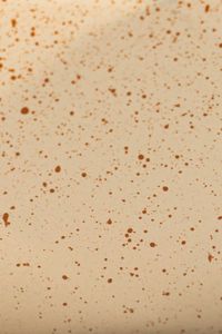 Pflanzschale Dekoschale Fiberglas CAVERO Arbanepoly Pflanzschale Dekoschale Fiberglas CAVERO Arbanepoly