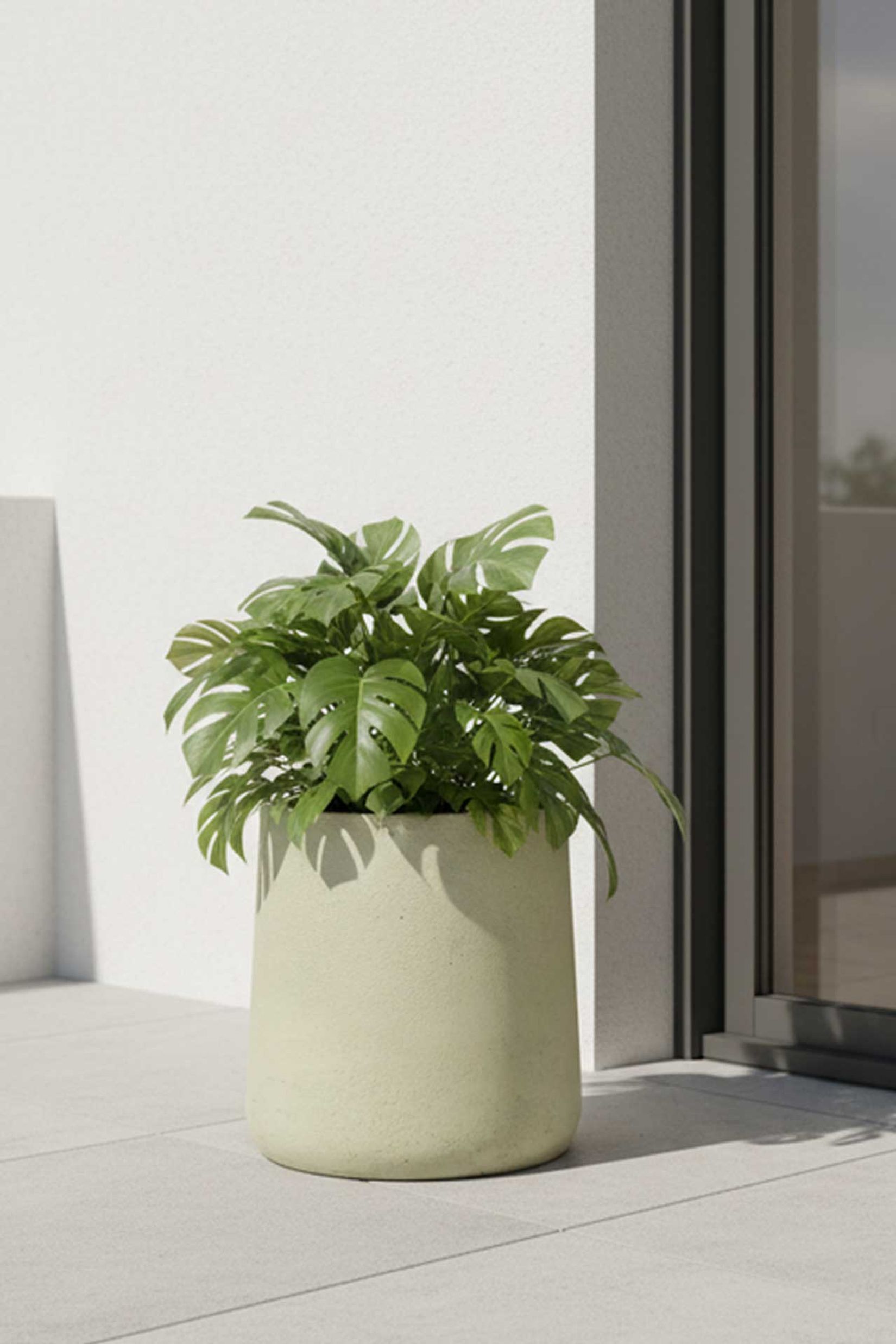 Blumentopf Pflanzkübel Fiberglas VEKRA Vesuvcreme