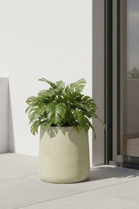 Blumentopf Pflanzkübel Fiberglas VEKRA Vesuvcreme