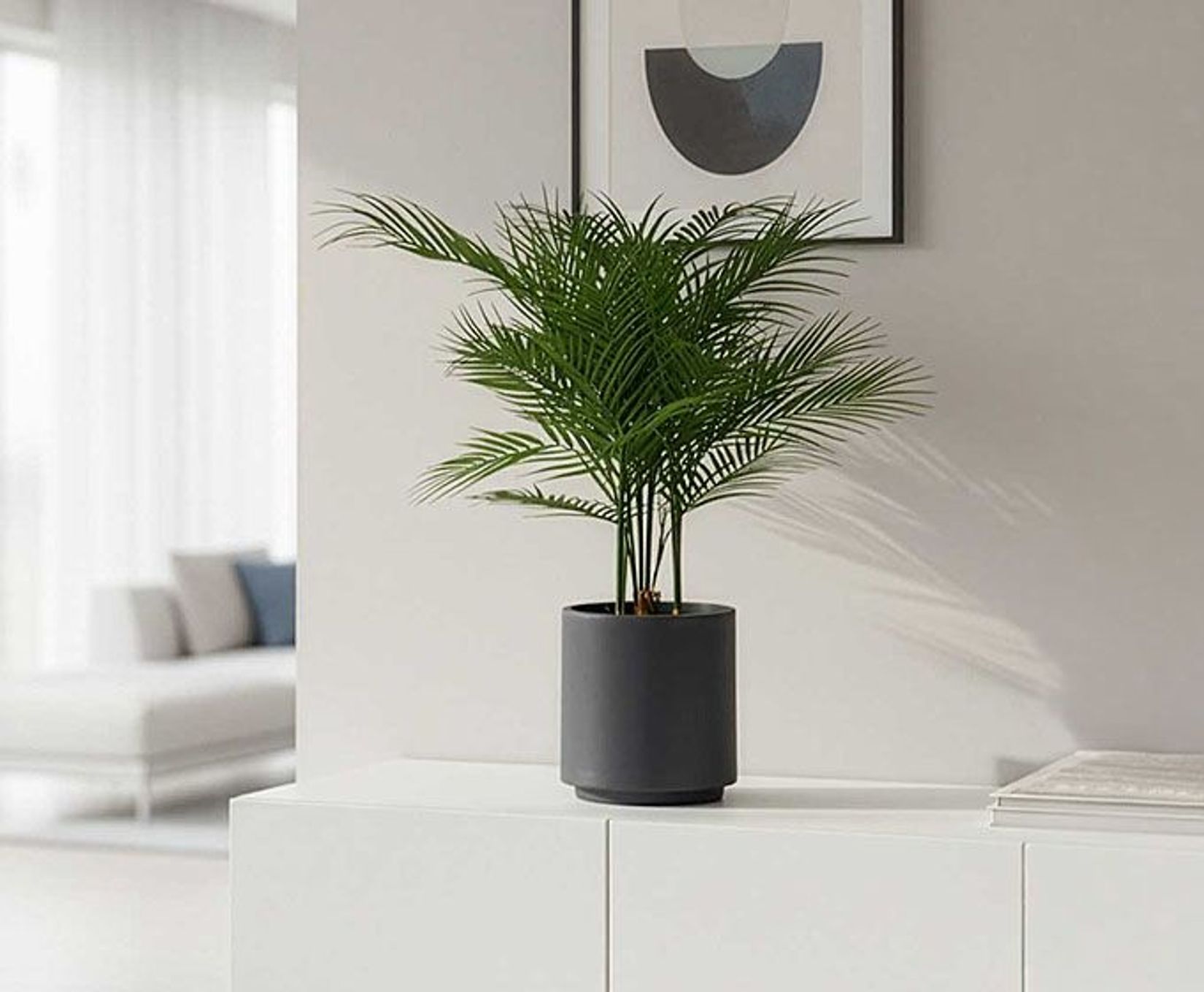 Kunstpflanze Palme Goldfruchtpalme auf Sideboard