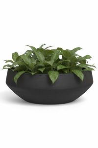 Pflanzschale Dekoschale Fiberglas SKRELLE Vulkangrau