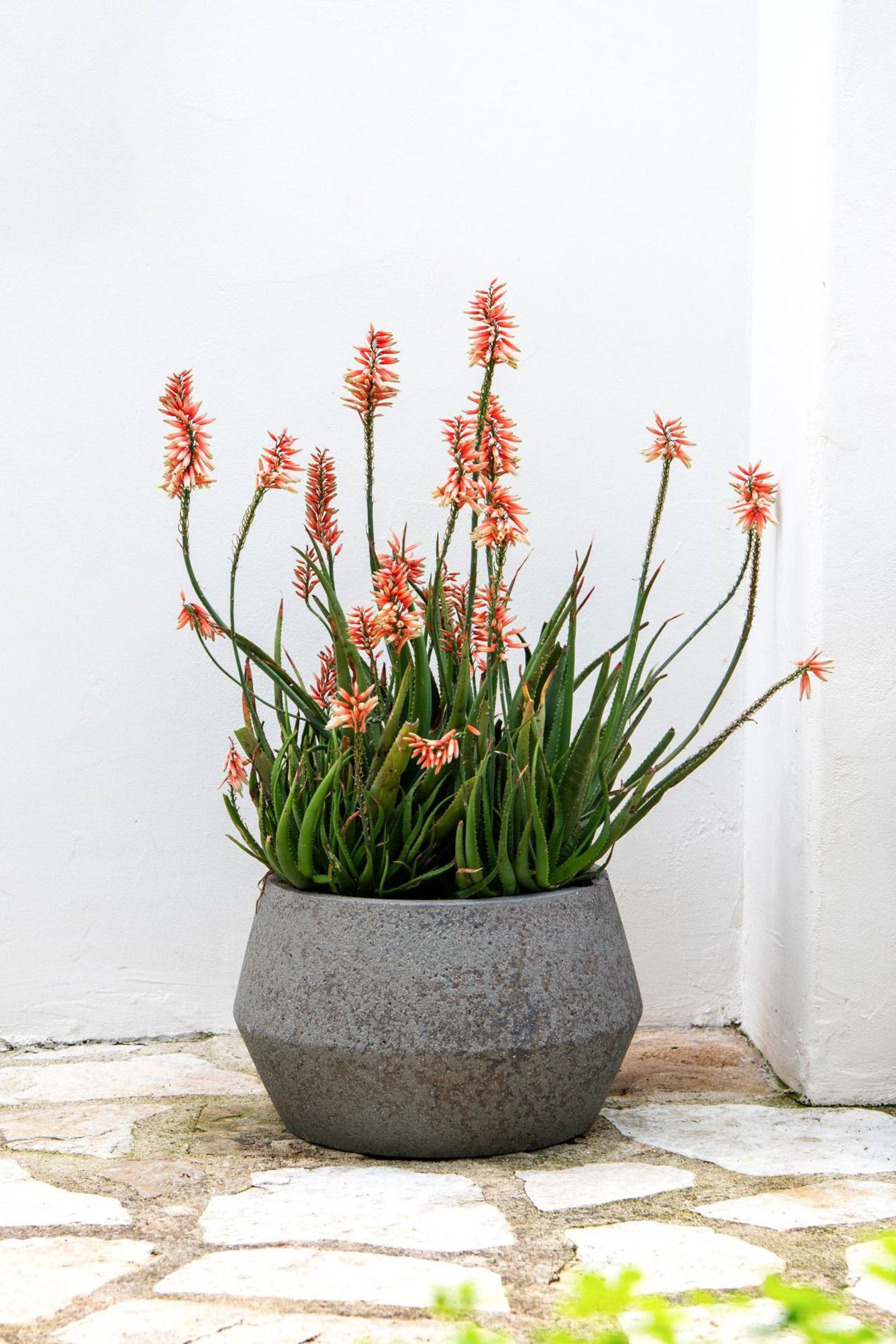 Pflanzkübel Blumentopf Fiberzement BRIGATA Erdgrau