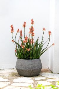 Pflanzkübel Blumentopf Fiberzement BRIGATA Erdgrau