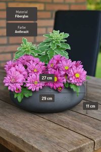 Pflanzschale Dekoschale PERA Fiberglas Grau Pflanzschale Dekoschale PERA Fiberglas Grau