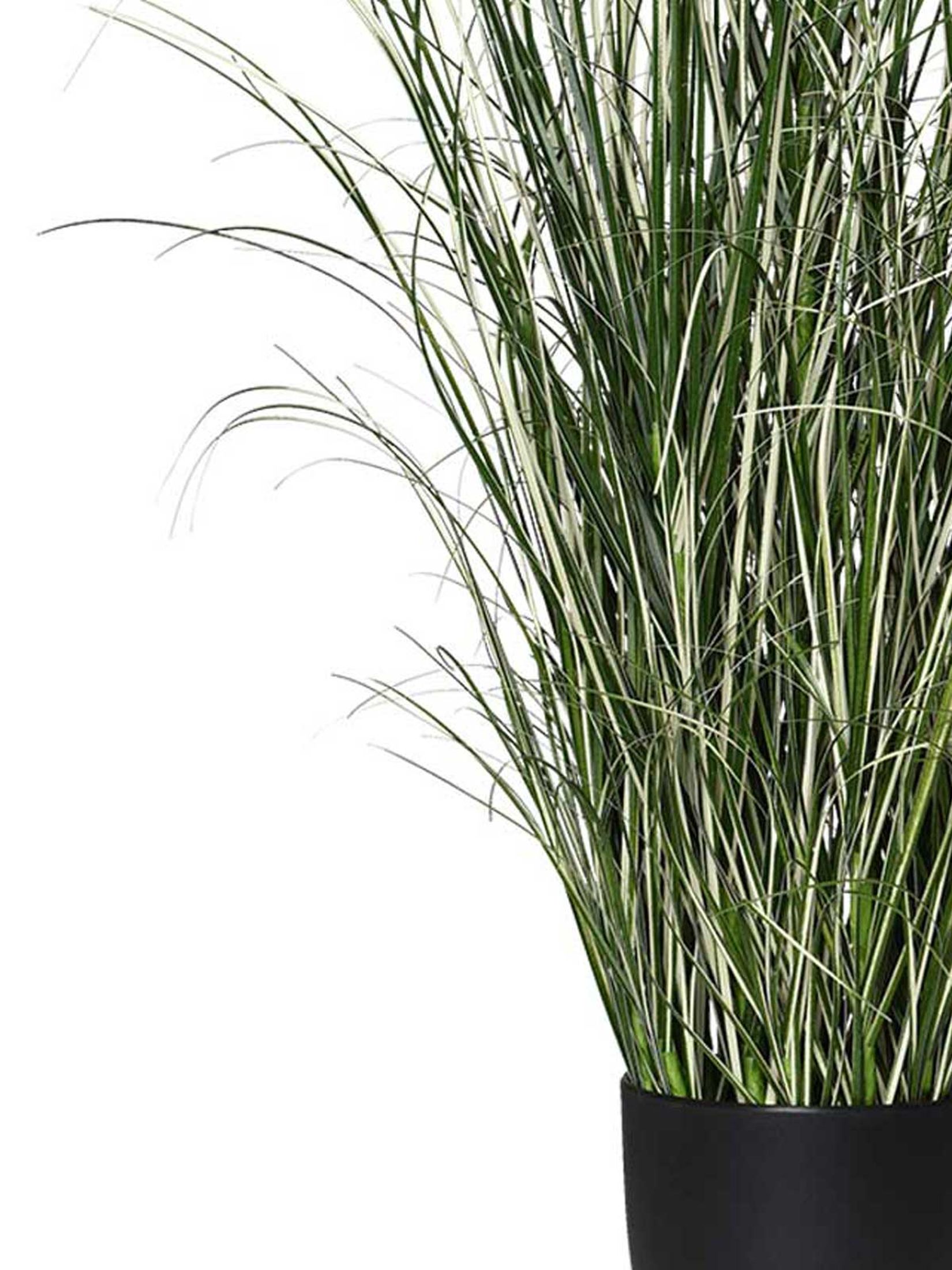 Kunstpflanze Zebragras in schwarzem Kunststofftopf GREVY Kunstpflanze Zebragras in schwarzem Kunststofftopf GREVY