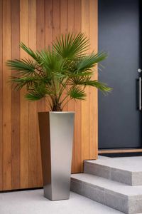 Pflanzkübel Blumenkübel Edelstahl "Classic", Gebürstet