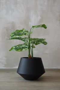 Kunstpflanze künstlicher Philodendron in schwarzem Topf PHILO