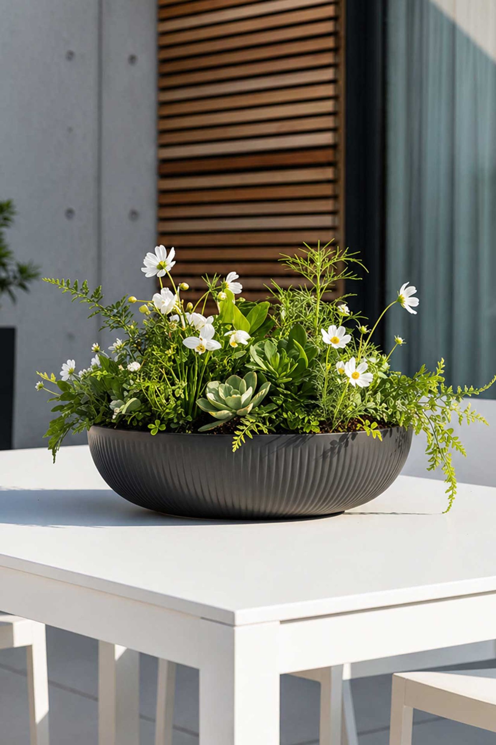 Pflanzschale Blumenschale Fiberglas PLANA Skandianthrazit