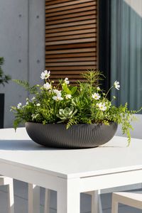 Pflanzschale Blumenschale Fiberglas PLANA Skandianthrazit