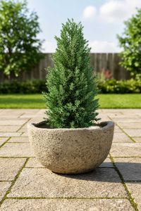 Pflanzkübel Blumentopf Fiberzement CIMENTO Erdgrau
