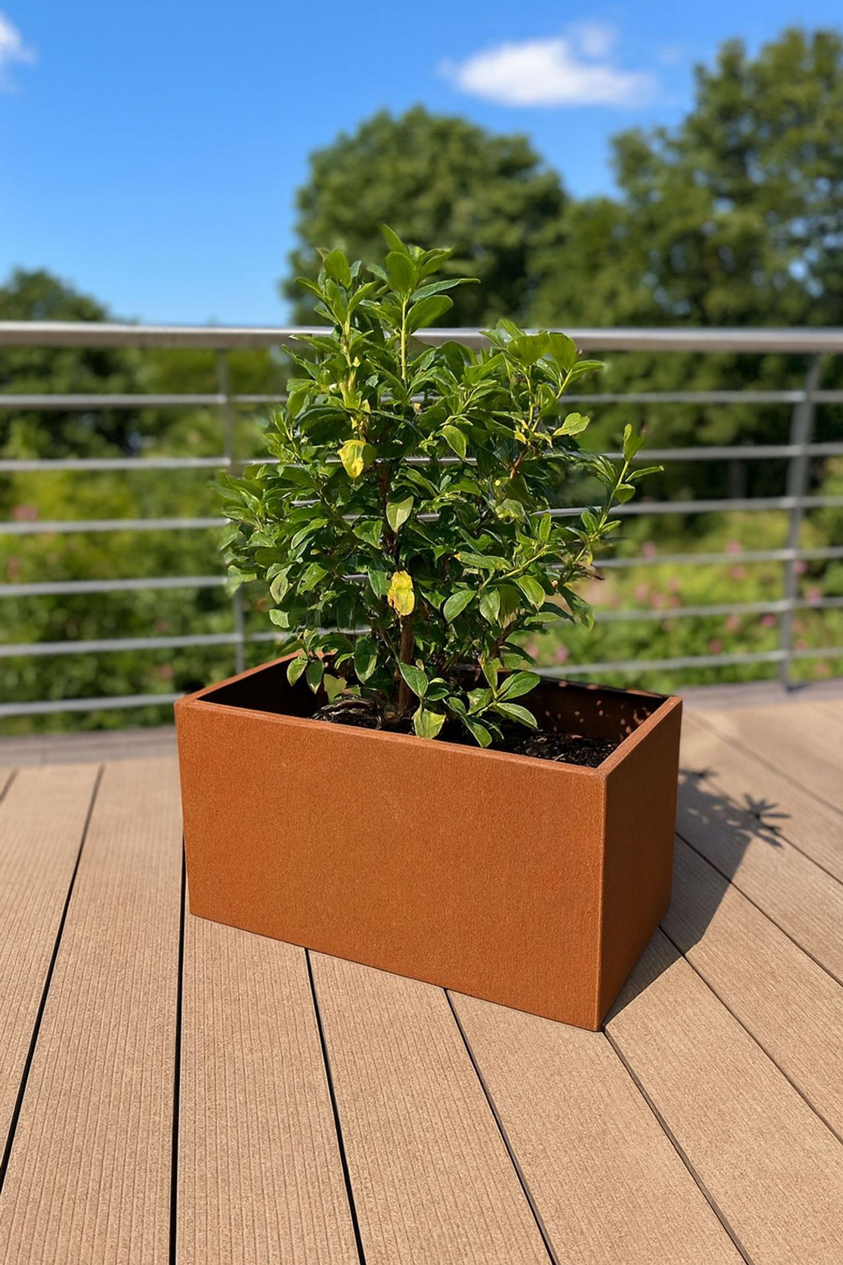 Pflanzkübel Pflanztrog Cortenstahl "Maxi", Rostbraun