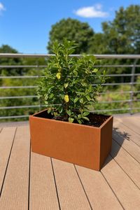 Pflanzkübel Pflanztrog Cortenstahl "Maxi", Rostbraun Pflanzkübel Pflanztrog Cortenstahl "Maxi", Rostbraun