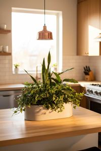 Pflanzschale Dekoschale SOLENA Fiberglas Betongrau