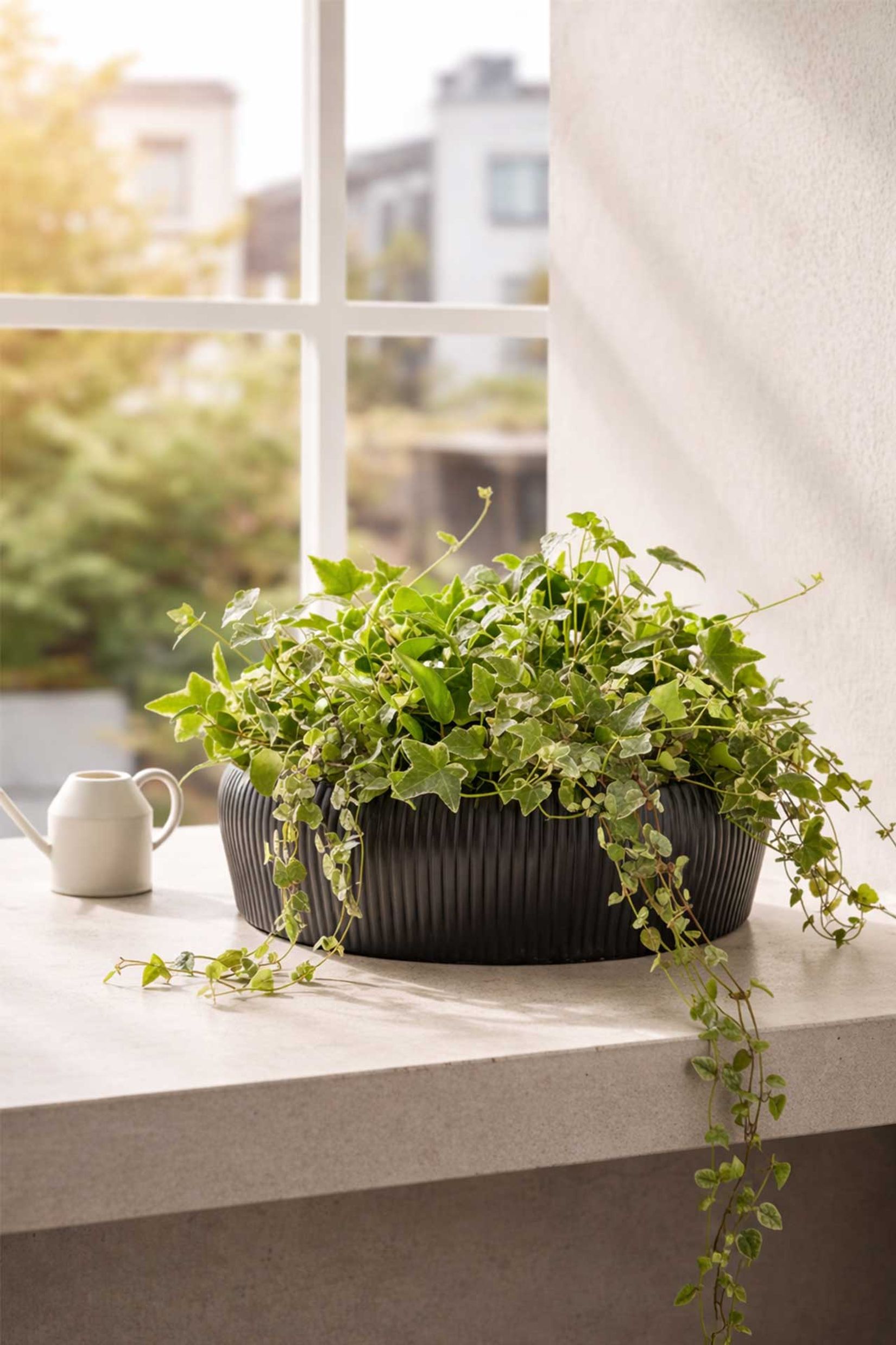 Pflanzschale Fiberglas ERYNA Tiefanthrazit