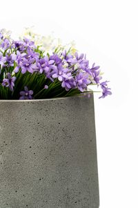 Pflanzkübel Blumenkübel Fiberglas NEXORA Vesuvgrau
