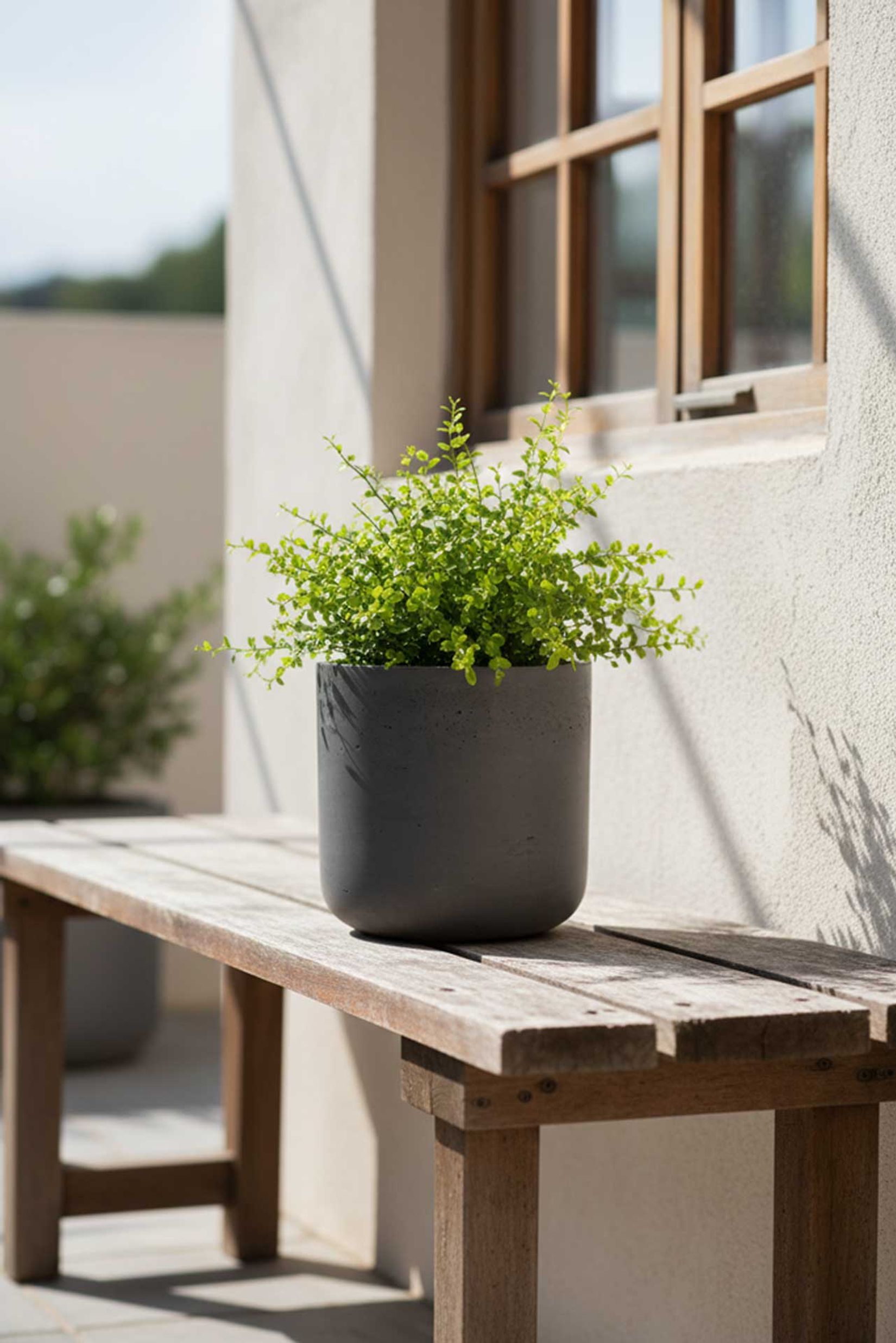 Blumentopf Pflanztopf Fiberglas CHICO Dunkelgrau