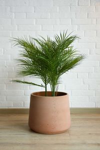 Blumentopf Fiberglas TROPICO Vulkanapricot