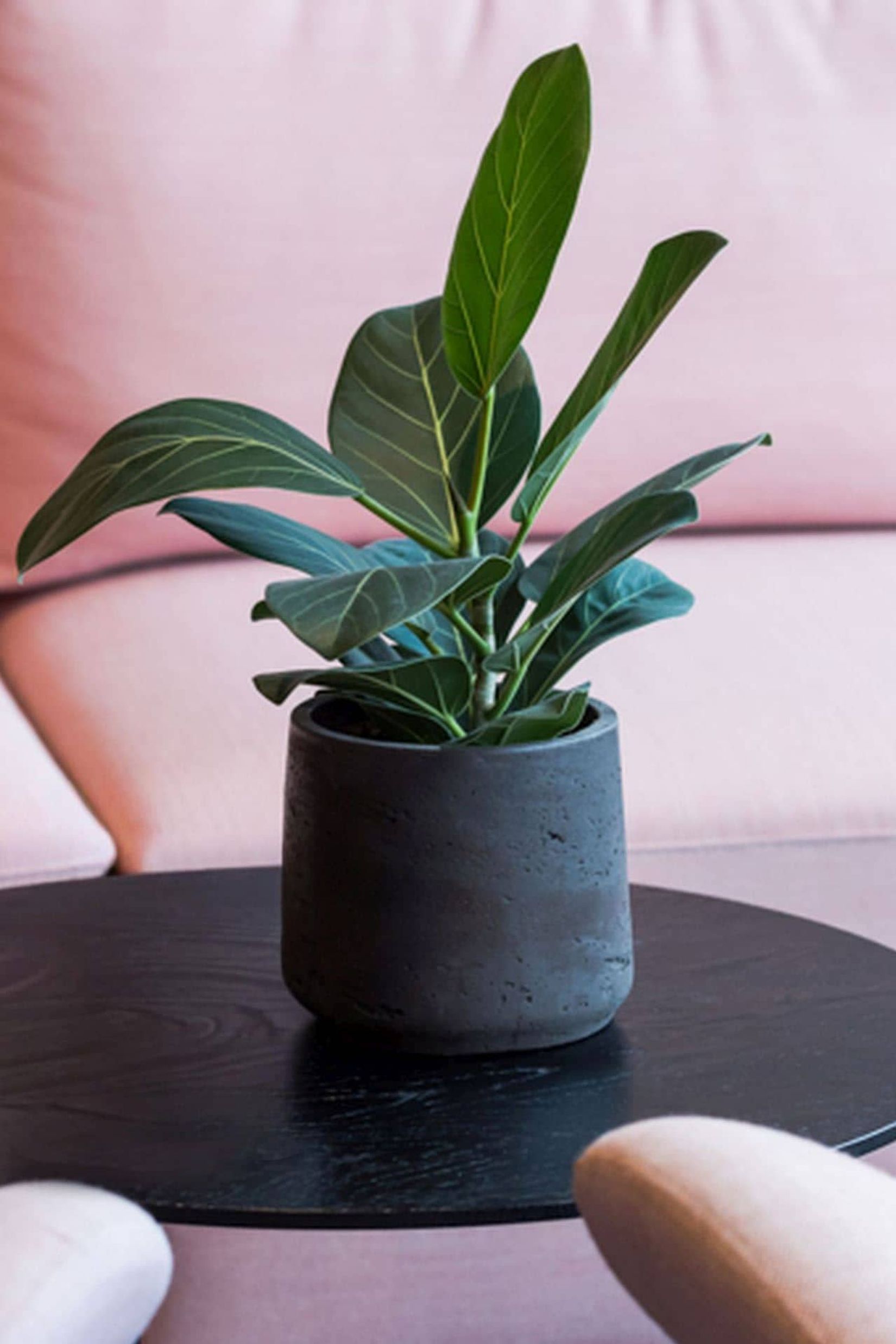 Blumentopf Pflanztopf Fiberglas TROPICO Anthrazit