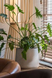 Blumentopf Pflanztopf Fiberglas TROPICO Creme