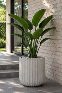 Blumentopf CHICO ARC Fiberglas 40x40 cm Grau Blumentopf CHICO ARC Fiberglas 40x40 cm Grau