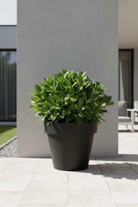 Blumentopf Pflanzkübel aus Kunststoff Rund Anthrazit LEVANTA