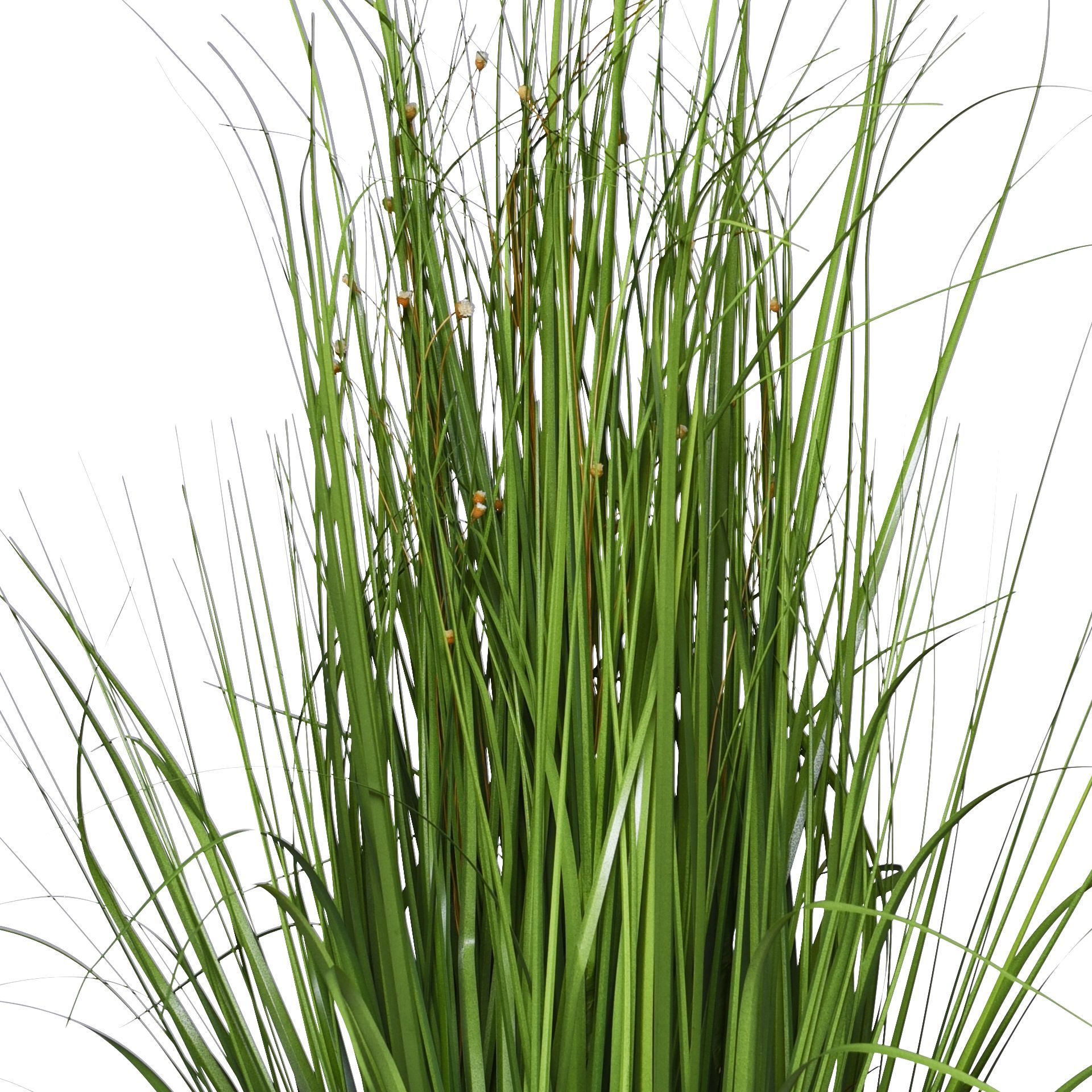 künstlicher Zweig Grasstiel Gras Dolden Kunstpflanze 56 cm grün N-12445-1 F19 