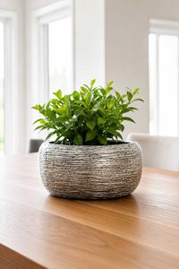 Pflanztopf POTTA Fiberglas 44x21 cm Silber