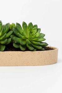 Pflanzschale Dekoschale Fiberglas SOLENA Arbanecreme