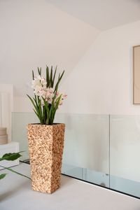 Kunstpflanze Orchidee Cymbidium im cremefarbenen Dekotopf ORCHIDEA creme