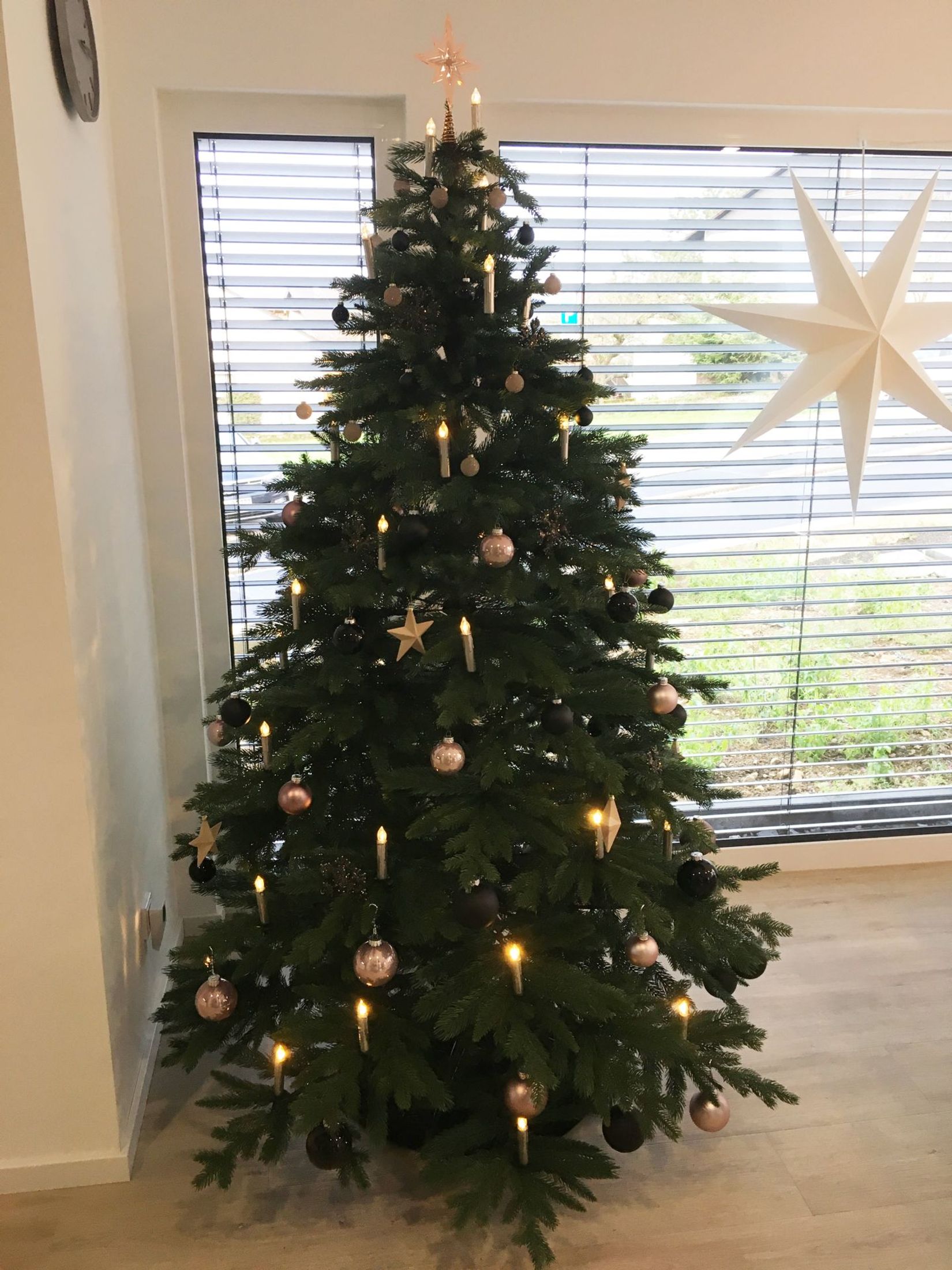 Künstlicher Weihnachtsbaum Premium Nordmanntanne, 210 cm hoch - Modell 2025 Künstlicher Weihnachtsbaum Premium Nordmanntanne, 210 cm hoch - Modell 2025